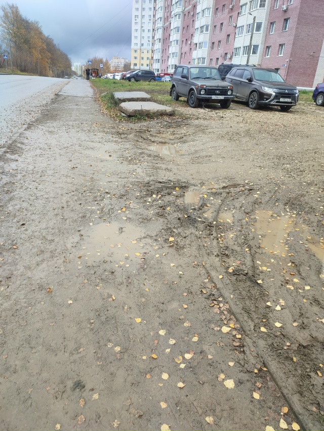 Веризинские поросята, вам нормально так живётся? Дома ?...