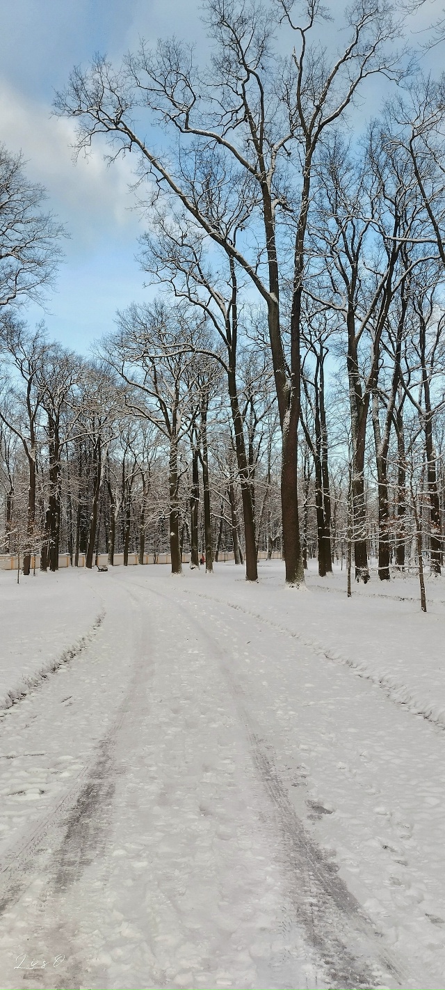 #сегоднявПетергофе 📸🐾
