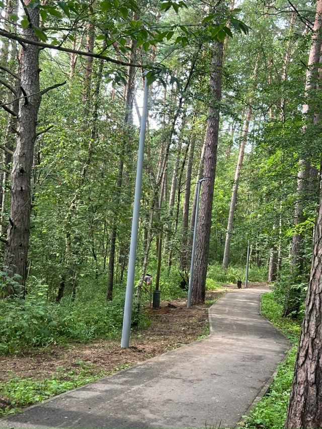 В лесу, за забором 3-й школы, делают новое освещение👍 у?...