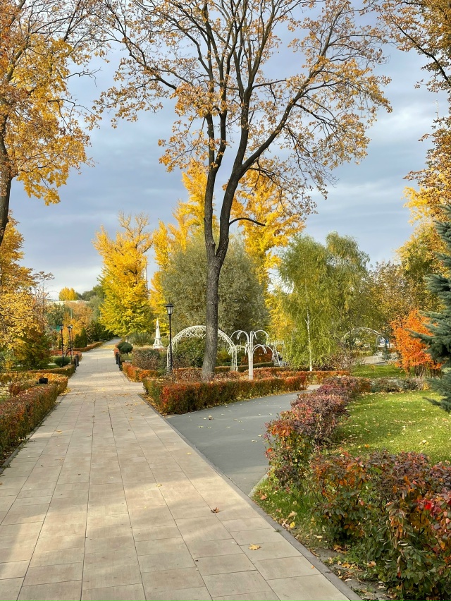 Снова осень 🍂 за окном
📸