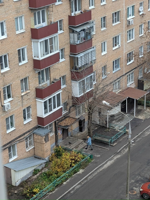 Собачница проживающая на центральном бульваре дом 7. П?...