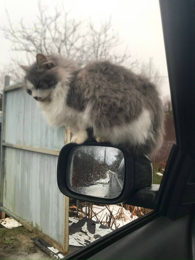 Скажите пожалуйста,у вас зеркало с обогревателем?)