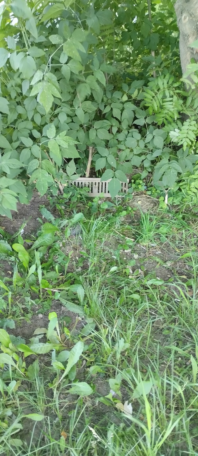 Благоустройство будете искать по приёмкам.