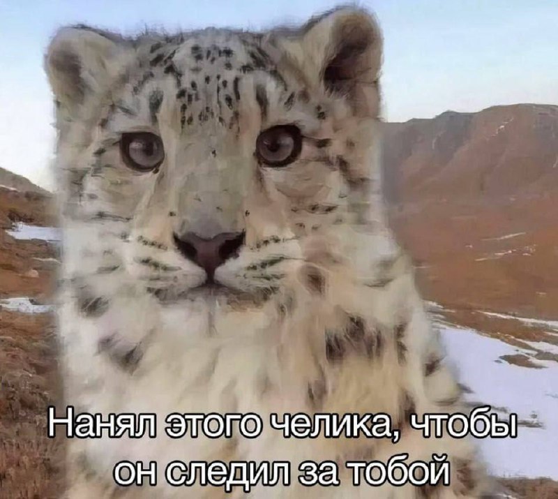 Утренняя подборочка