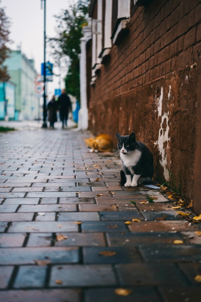 Старый город🔥
#Коломна [id417830702|Автор]