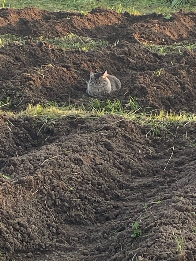 Фима, первый парень на деревне🔝😺