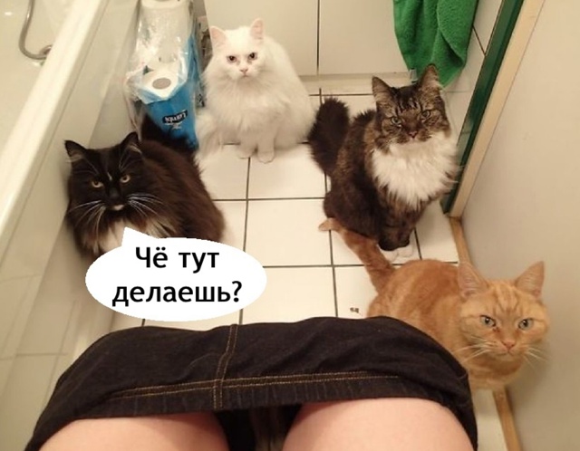 Когда ты сильный и не зависимый