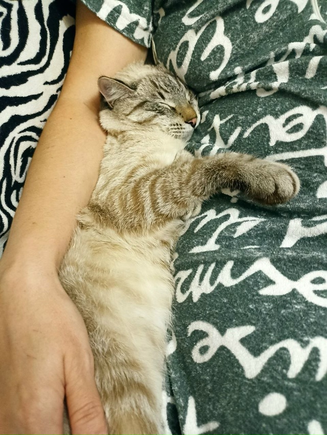 Спать пора🥱😴