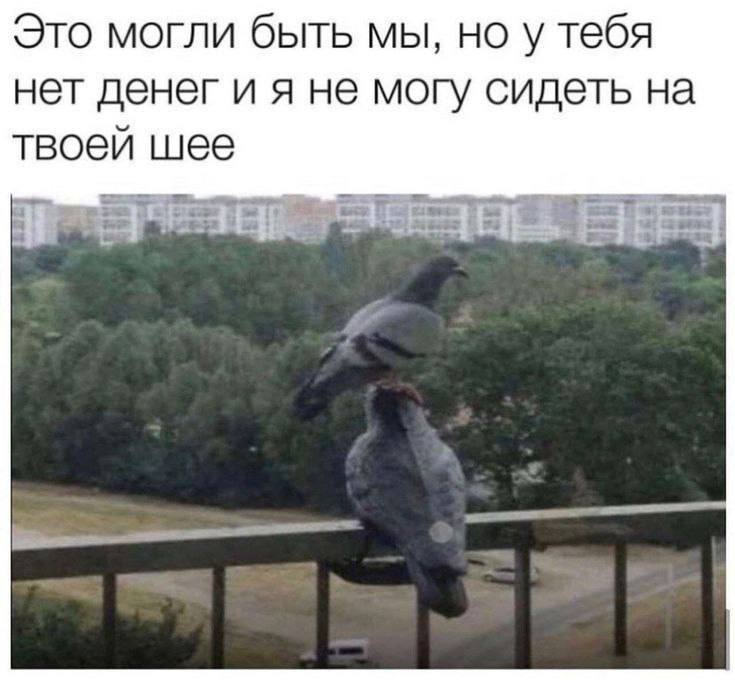 Утренняя подборочка
