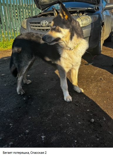 Пост добра. Распространите, пожалуйста.