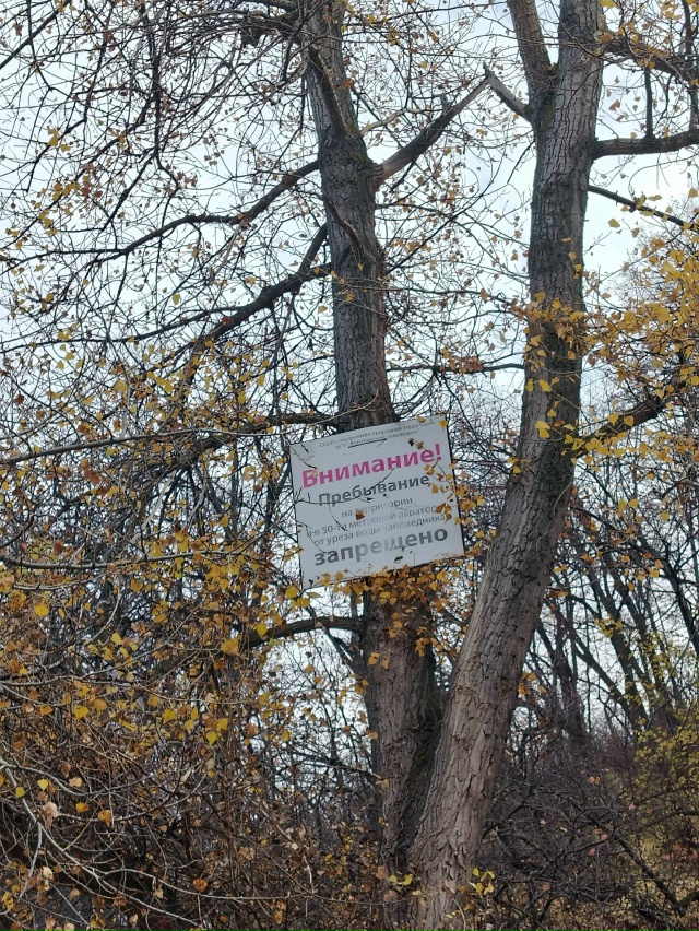 Пусть положительные эмоции наполняют вас, осенние кра?...