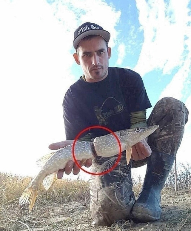 Мужчина на фото — рыбак. И вот такую щуку он поймал.
Во?...