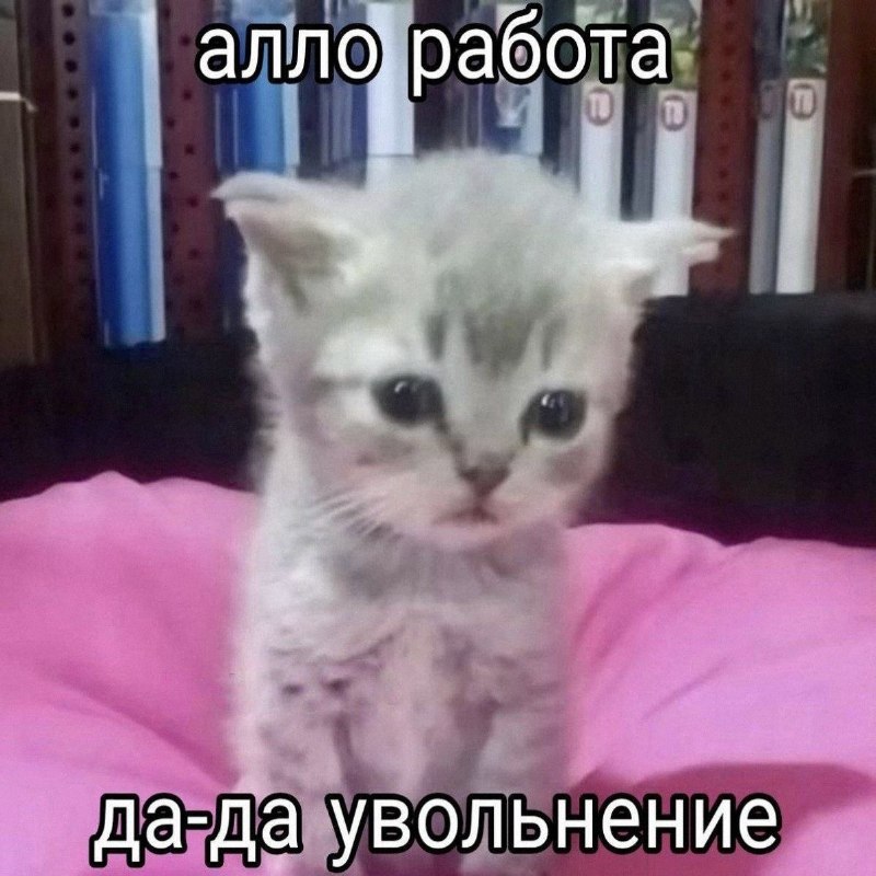 Утренняя подборочка