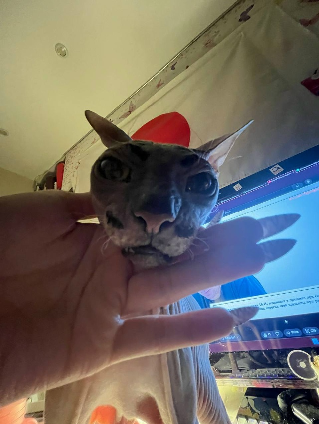 Всрато-подборка Арчибальда Коксовича