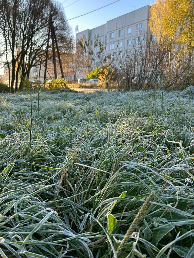 Доброе утро, Окуловка!