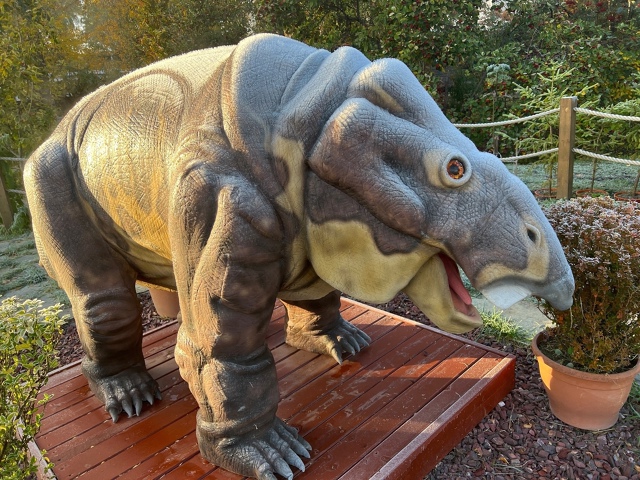 Зверoящеры пермского периода в Ботаническом cаду униве...