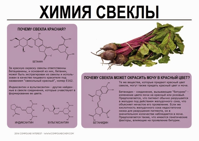 В еде - одна химия! Ну и ещё немного физики и биологии :)
...