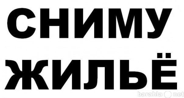 Здравствуйте. Сниму жилье в с. Клепинино. +79786675334