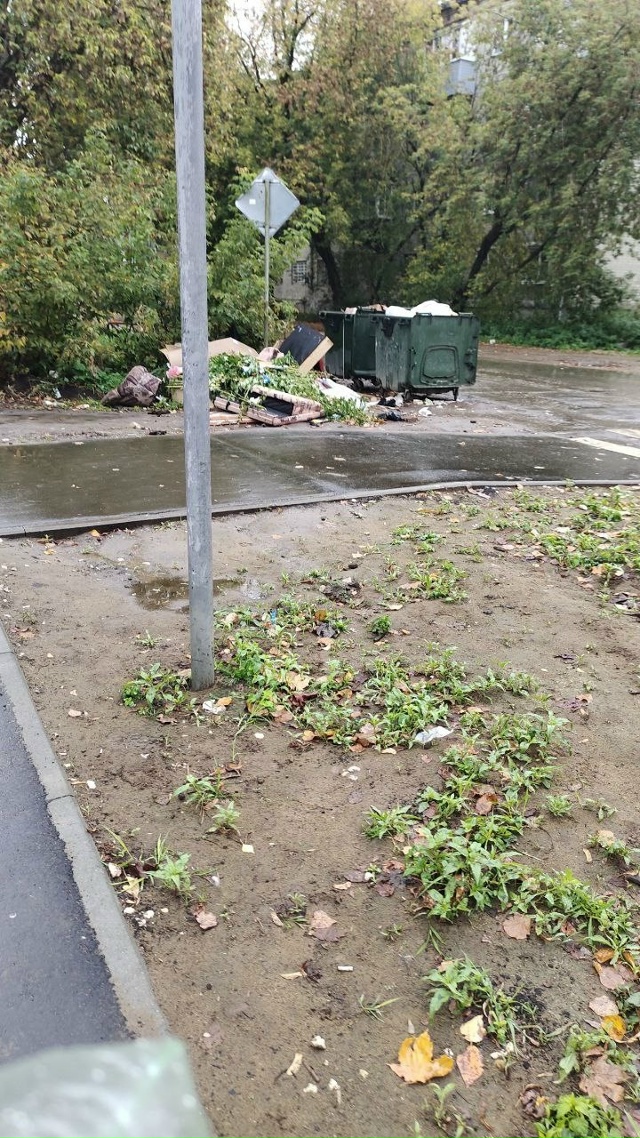 ❓ Когда уже уберут мусорные баки с проезжей части?
Пер...