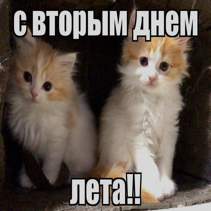 Ночная подборочка
Выходные, не спим