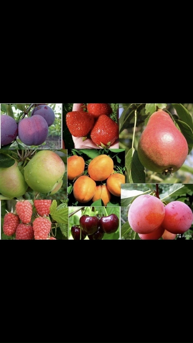 ‼️Отличная новость для садоводов г.Бузулук!
?? 1 Окт...