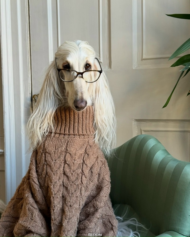 Что вы вообще знаете о стиле? Что?
Это собака Саманта —...