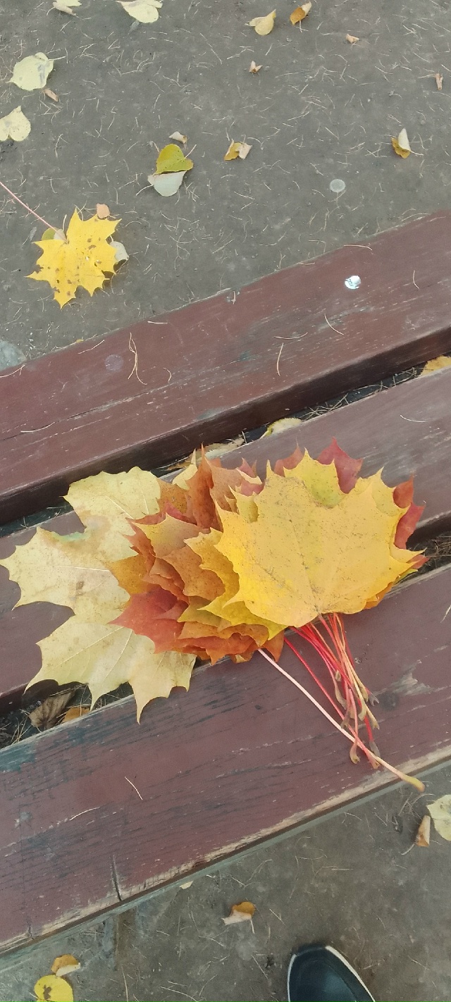 Осенние краски осени