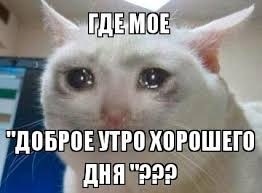 Доброе утро ☀️
Ставь ❤️ и твой день будет лучшим