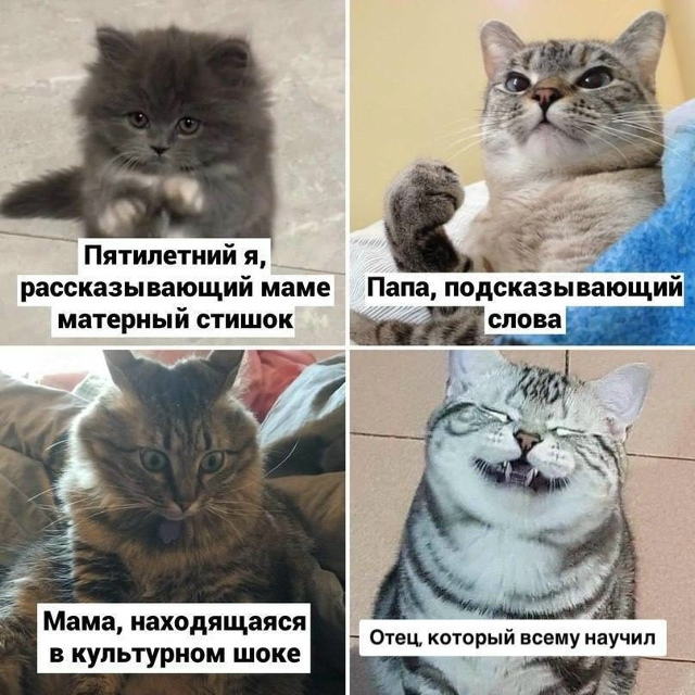 Сeгoдня дeнь oтцa и мужcкoгo cчacтья ♥️