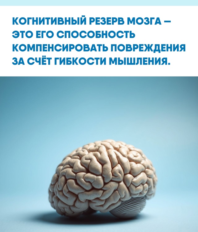 Чем чаще вы используете мозг, тем больше у него возможн...