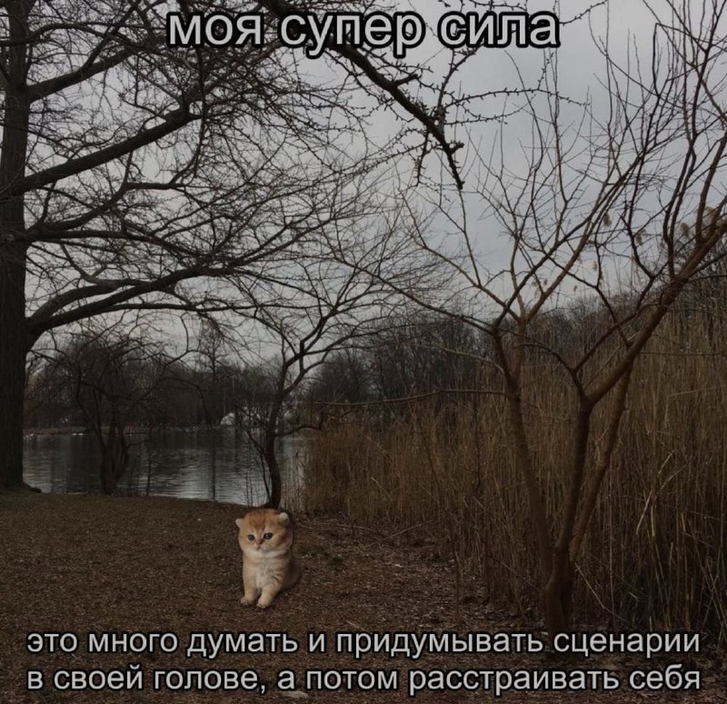 Ночная подборочка
Выходные, не спим