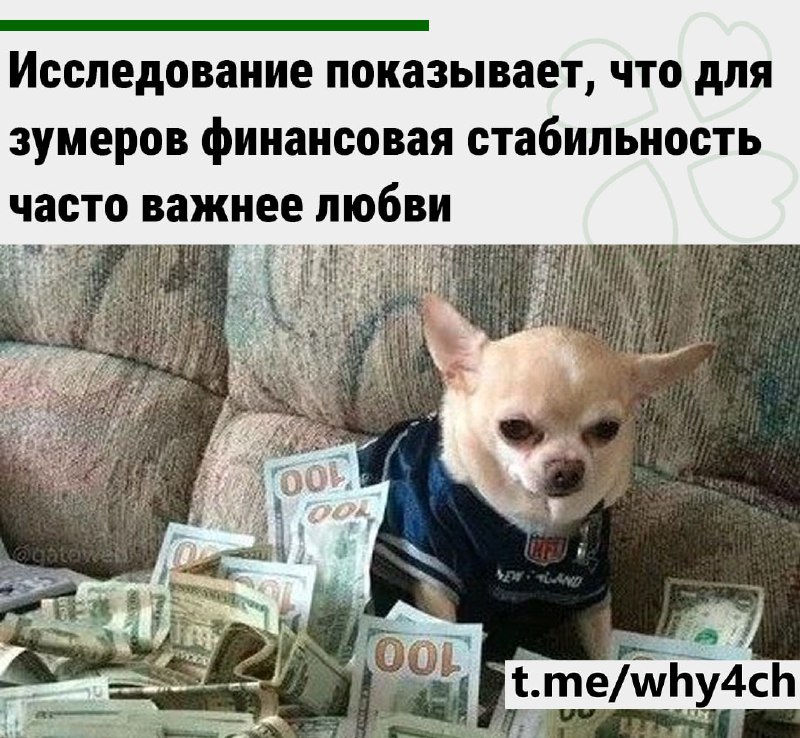 Самая сильная любовь - это любовь к деньгам: 46% опрошенных выбрали бы долгосрочную финансовую стаби