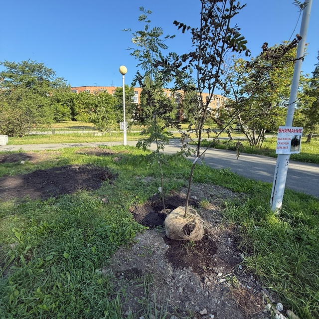 Озеленение на Бульваре Фоменко. Как повлиять на этот У?...
