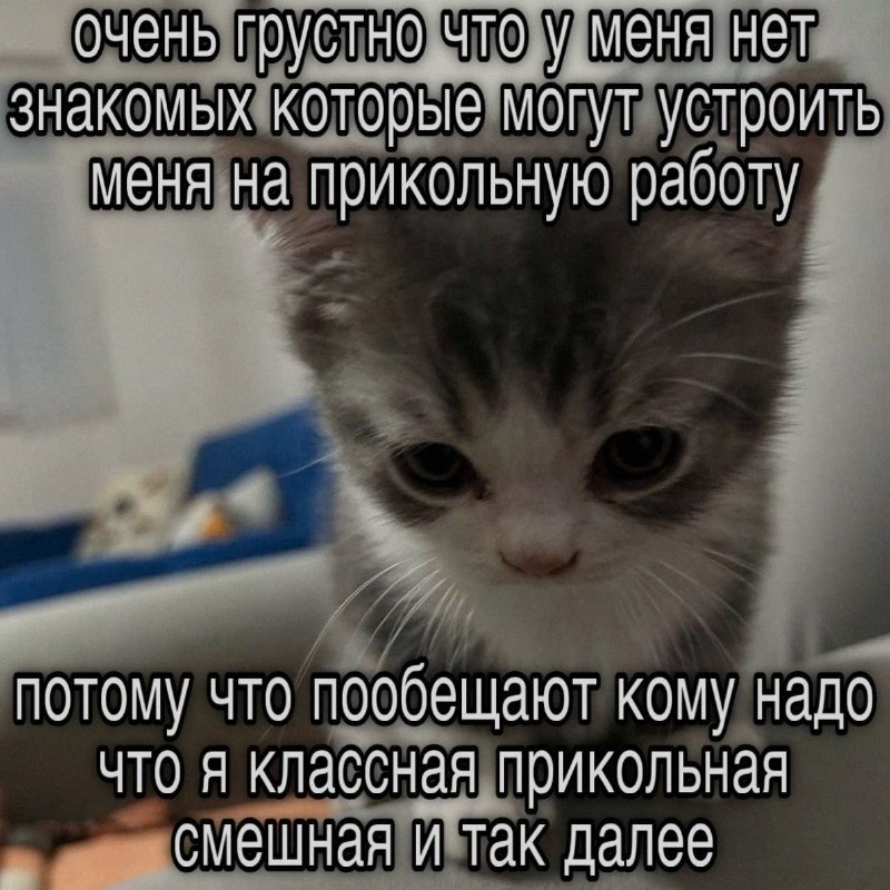 Ночная подборочка
Спать, режим