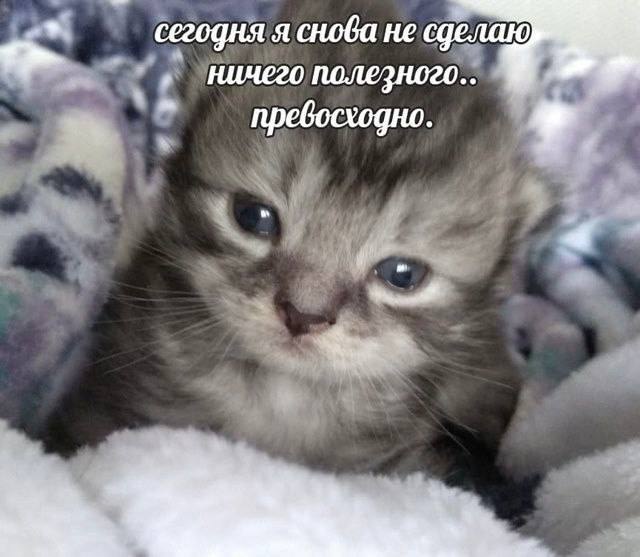 Утренняя подборочка