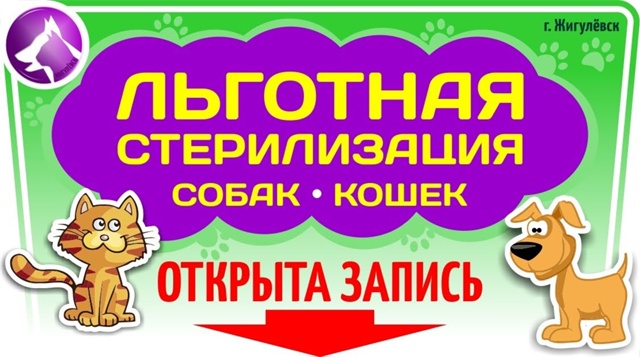 Льготная !!! ( не БЕСПЛАТНАЯ!!!) стерилизация бездомных и ...