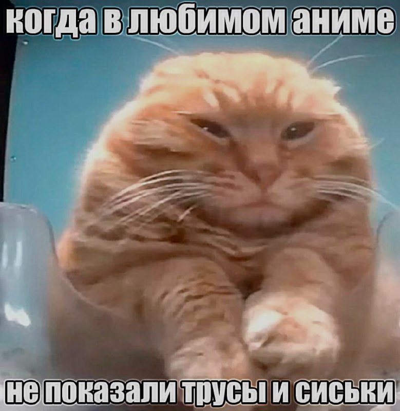 Ночная подборочка
Выходные, не спим