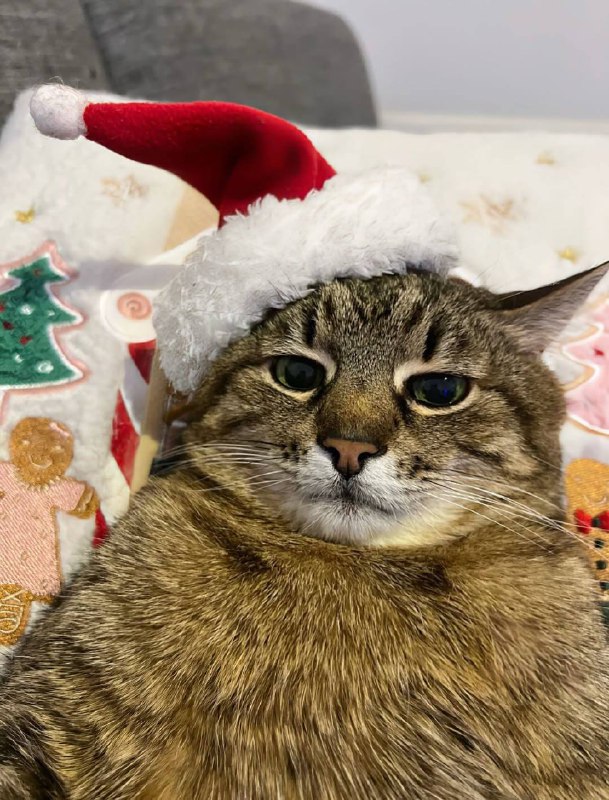 С Рождеством!