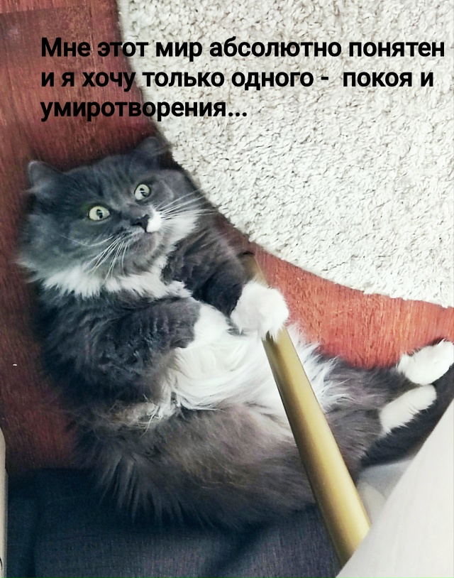 Мисти наша)