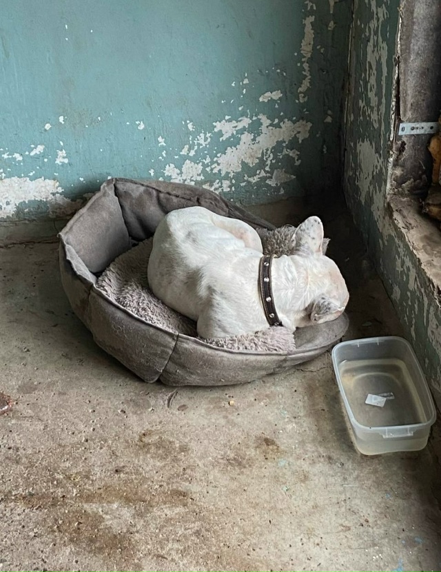 В посёлке Тоцкое 2 есть такой ребёнок, ей 6 лет, проблемы...