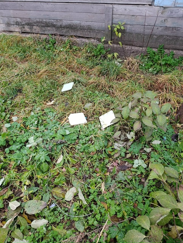 Улица молодёжная, 9, второй этаж, выбрасывают свой ужин
...