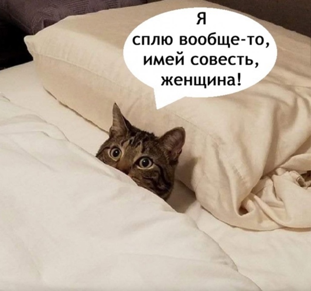 И побыстрее вали на свою работу😅