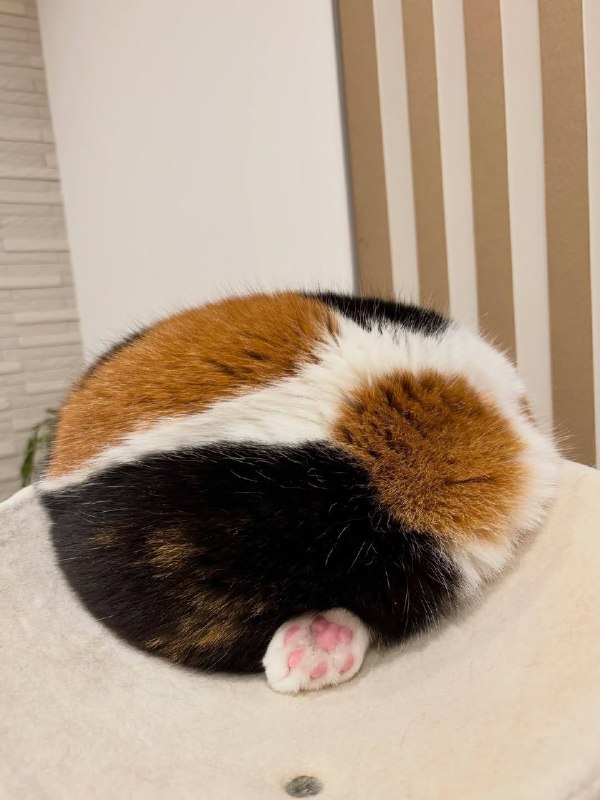 Карамельно-чоколадный кексик с мармеладками :3