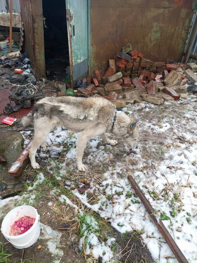 ПОСТ - ШАНС! ‼️‼️‼️
Родники! Ивановская область!
Вол...