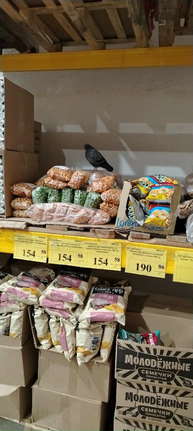 Сколько стоит голубь?