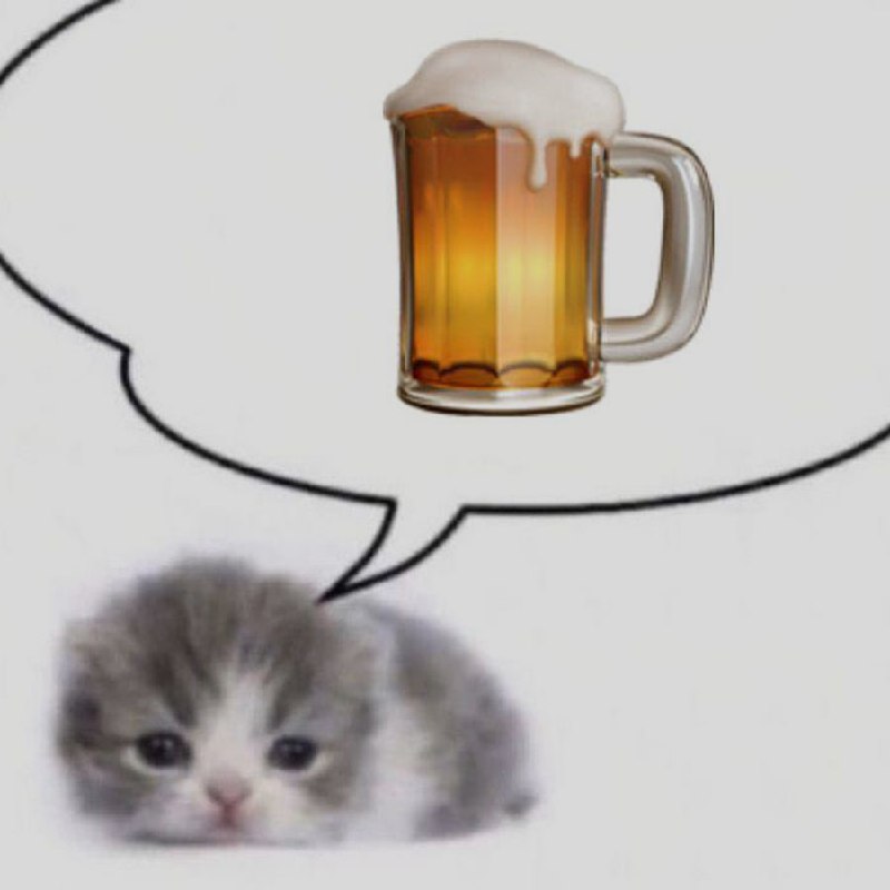 Ночная подборочка
Выходные, не спим