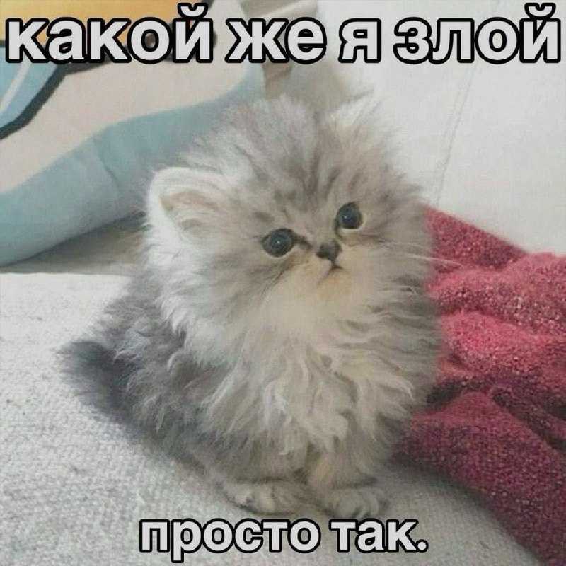 Ночная подборочка
Спать, режим