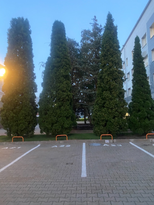 Девочки! Свадьба уже через 1,5 недели, переживаю как и лю...