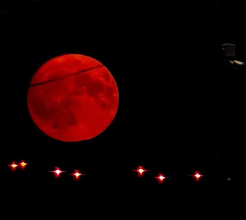 🌕 Над Москвой взошла «Клубничная Луна» — редкое явление, которое бывает раз в 18 лет
Полнолуние сов