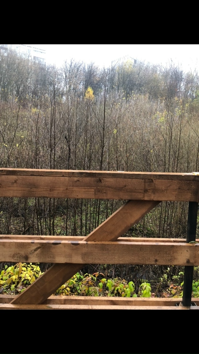 Прогулялись по экотропе между Стаханкой и Крохалевкой...